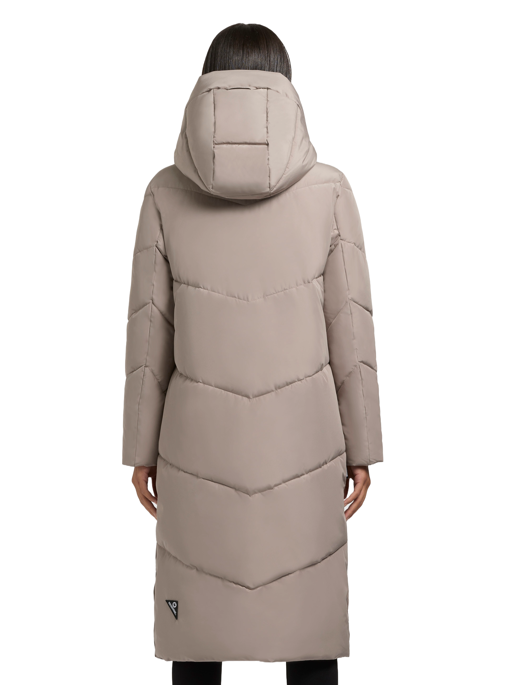 file-2AlQIsVDqLrm9k