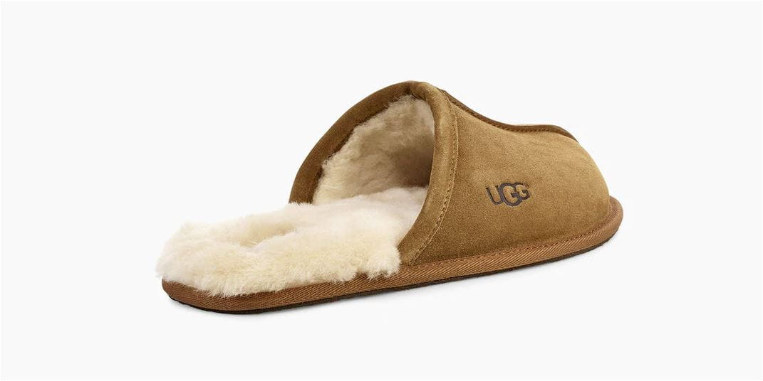 scuff-chesnut-1